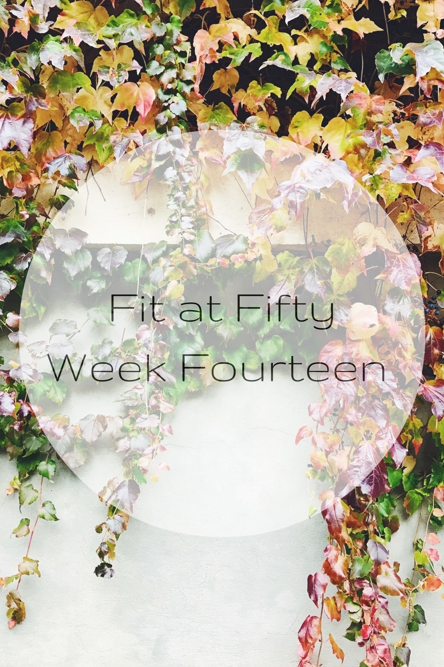 Fit at Fifty Week Fourteen