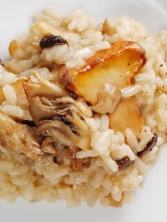 Aged Black Garlic Risotto with mushrooms on a white plate.