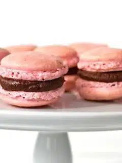 Pink macarons filled with bittersweet chocolate ganache displayed on a white plate.