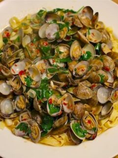 A plate of pasta with spicy clams and herbs.