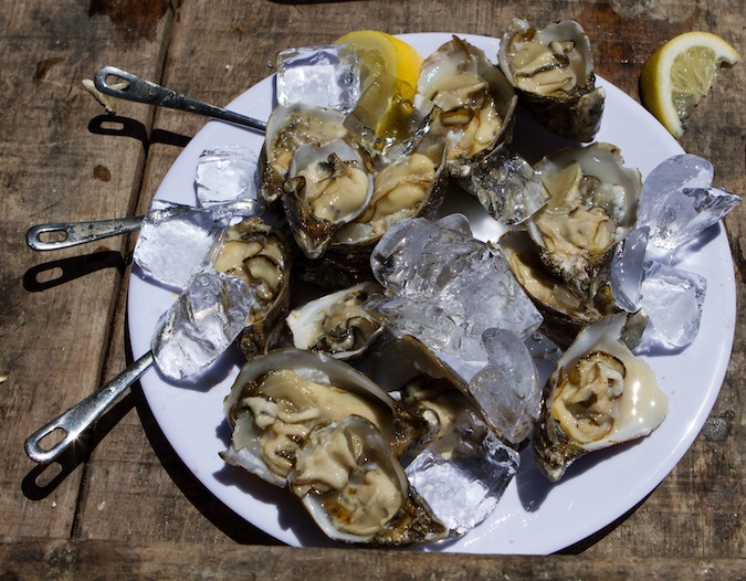 Oysters on the Half Shell with Mignonette Sauce