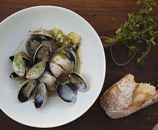 Steamed Clams