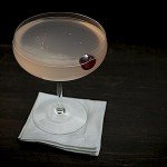 Cranberry Gin Blush Cocktail