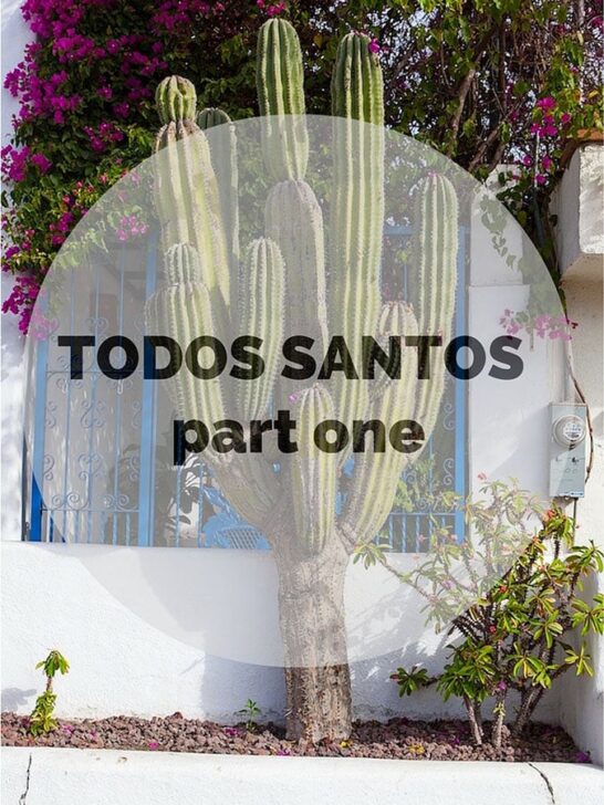 Todos Santos (part one)