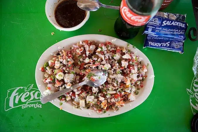 Ceviche at Chavas Todos Santos Mexico