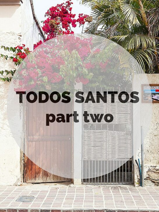 Todos Santos (part two)