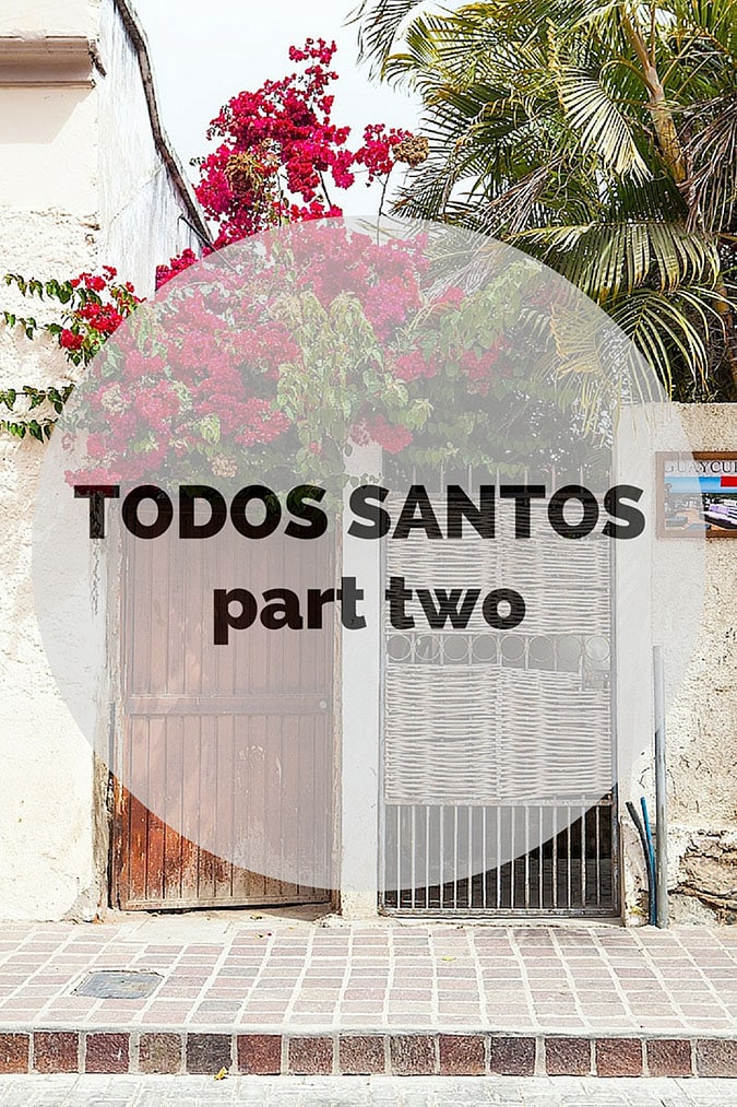 Todos Santos (part two)