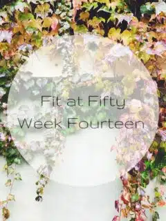 Fit at Fifty Week Fourteen