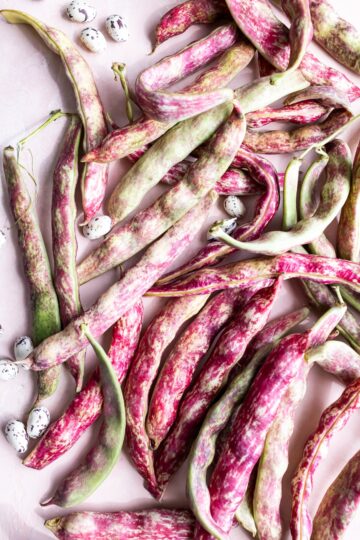 Fresh Shelling Beans