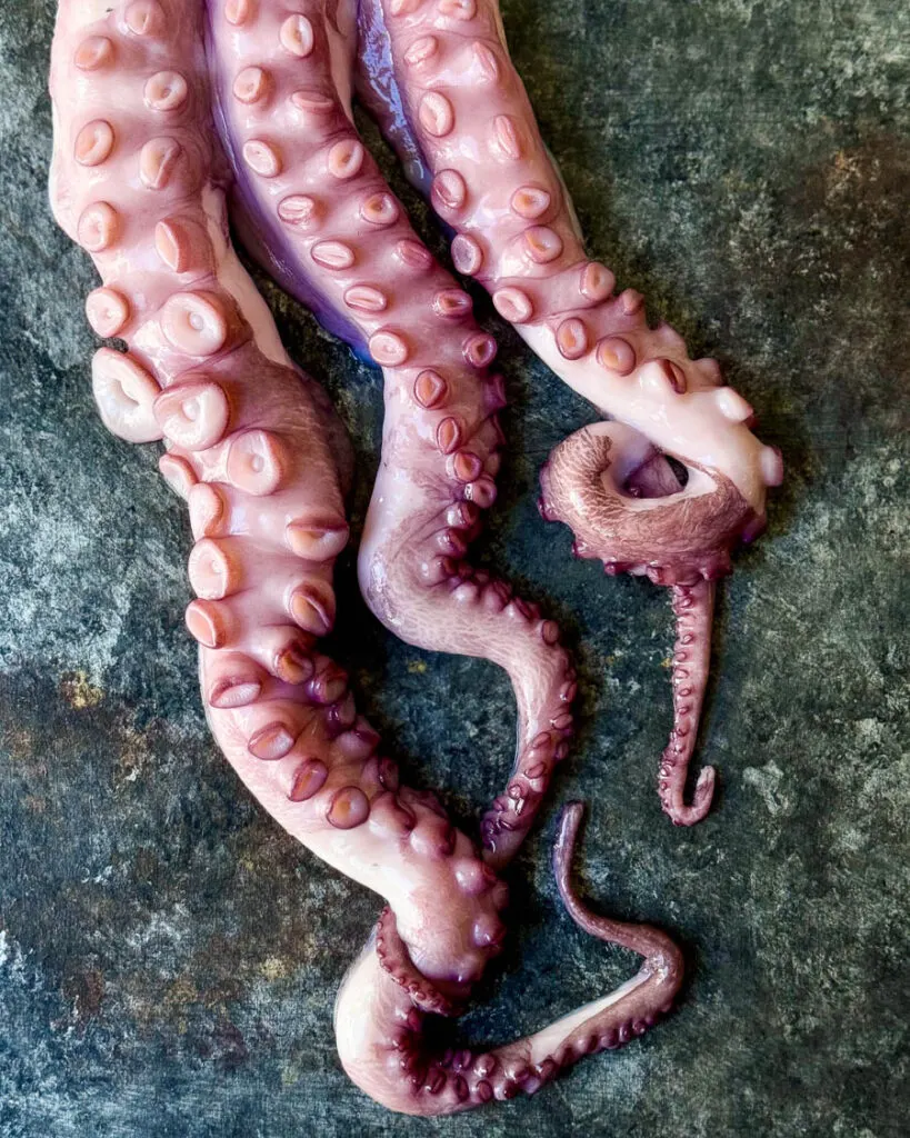 Grilled Octopus